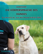 Workshop: Lerne deinen Hund zu lesen und zu verstehen!
